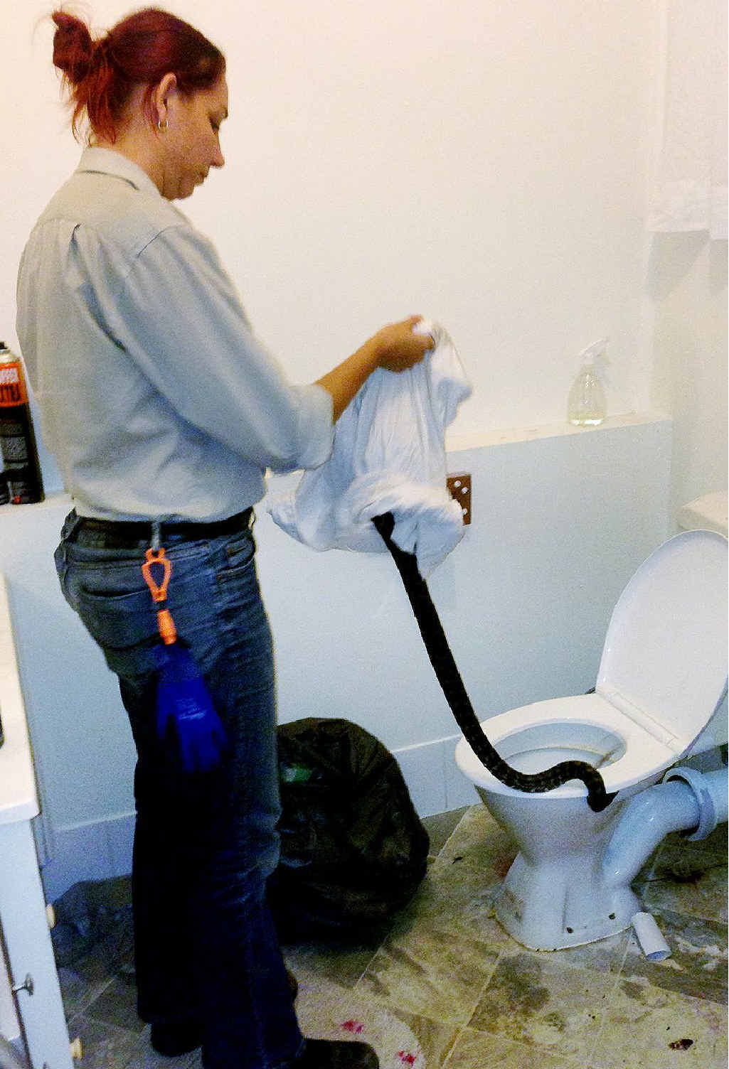 The python was relocated by snake experts. The python was relocated by snake experts.